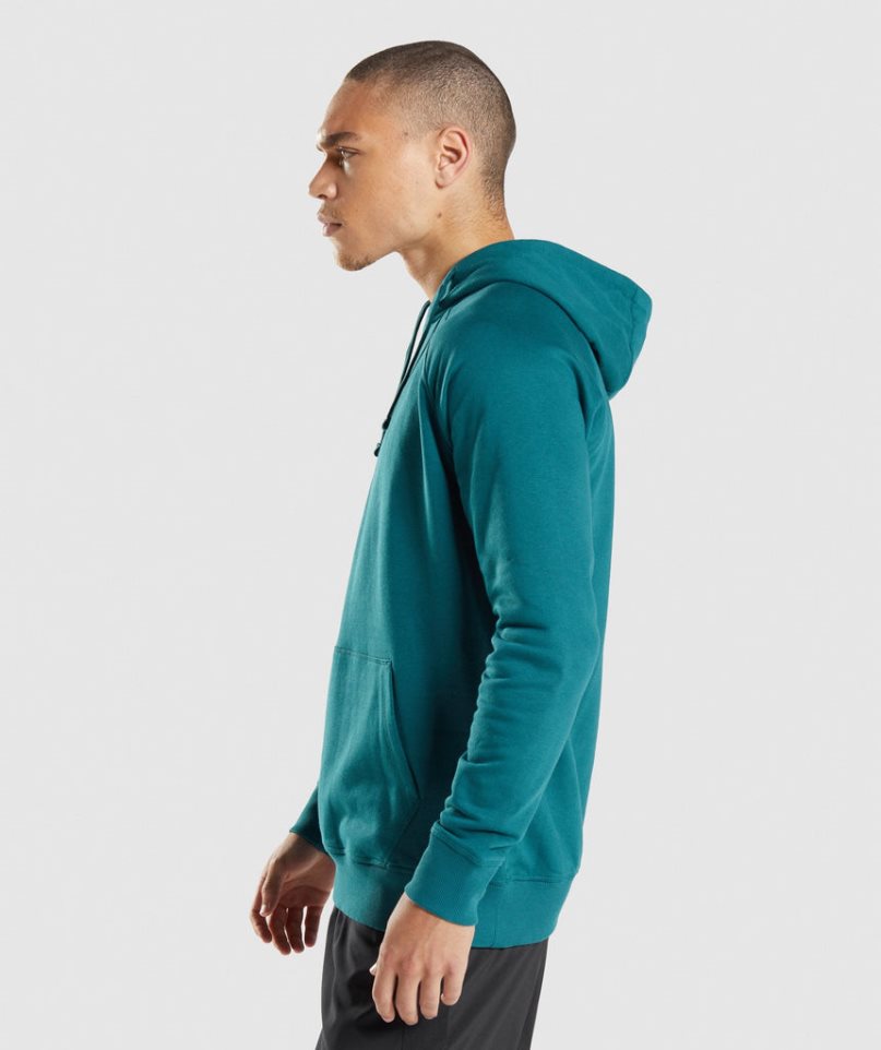 Men's Gymshark Sharkhead Infill Hoodie Turquoise | CA 5N3A06